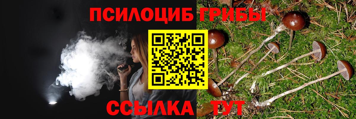Псилоцибиновые грибы GOLDEN TEACHER Пыть-Ях